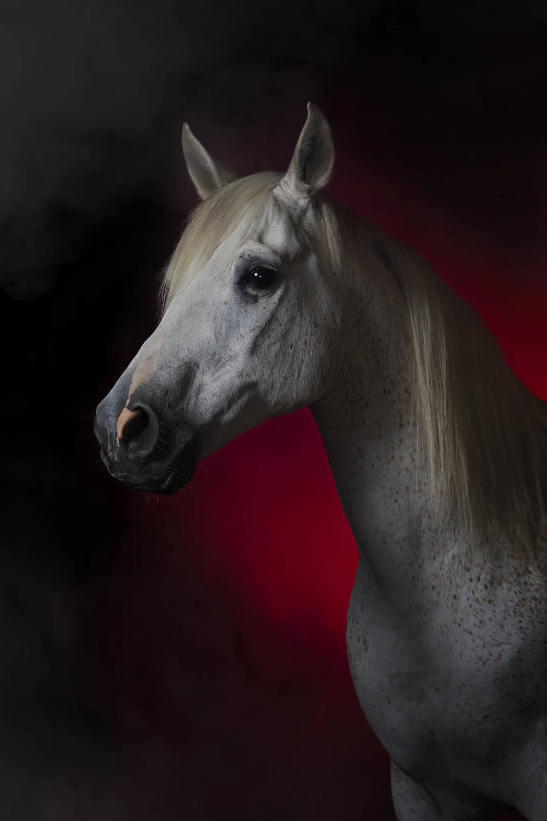 209A3338-1 resultat a1sjwd