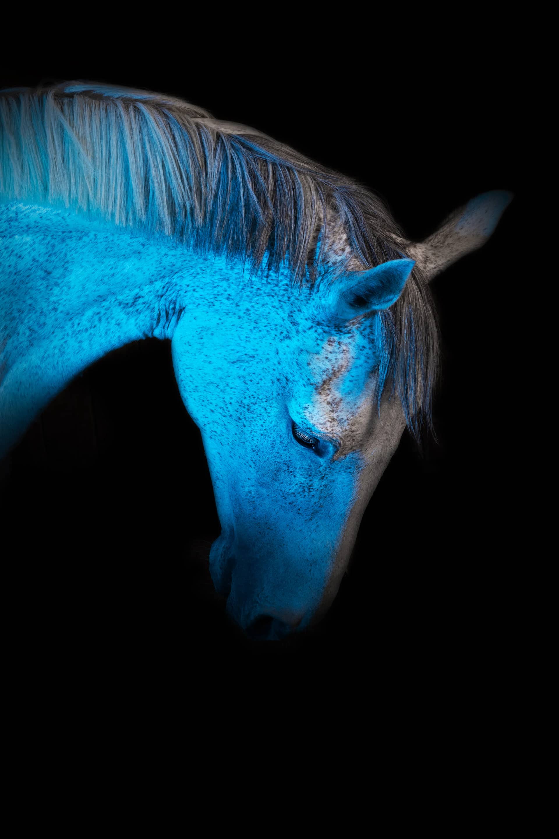 209A3515 resultat gtr43y