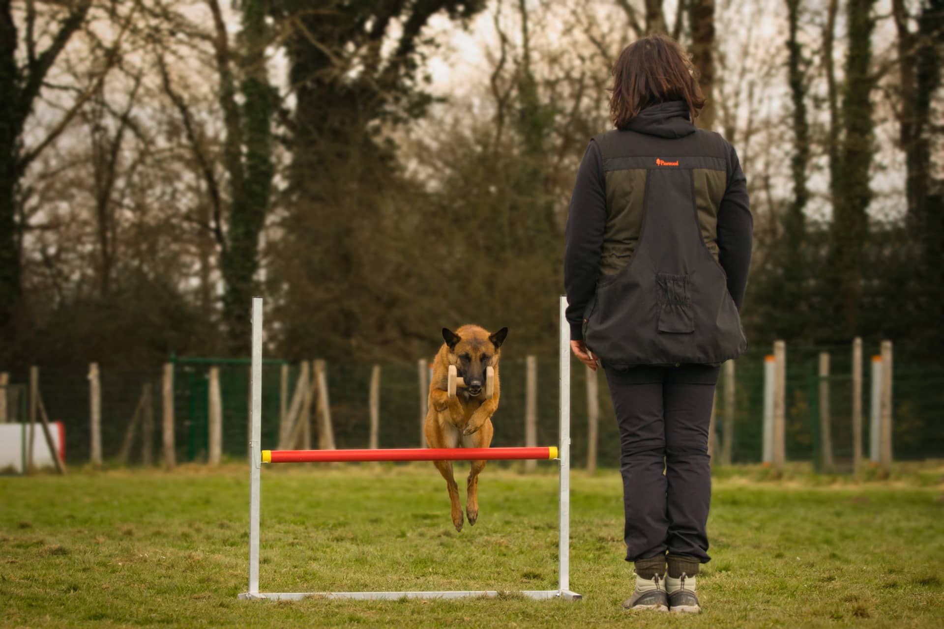 209A5110 resultat nprbc3