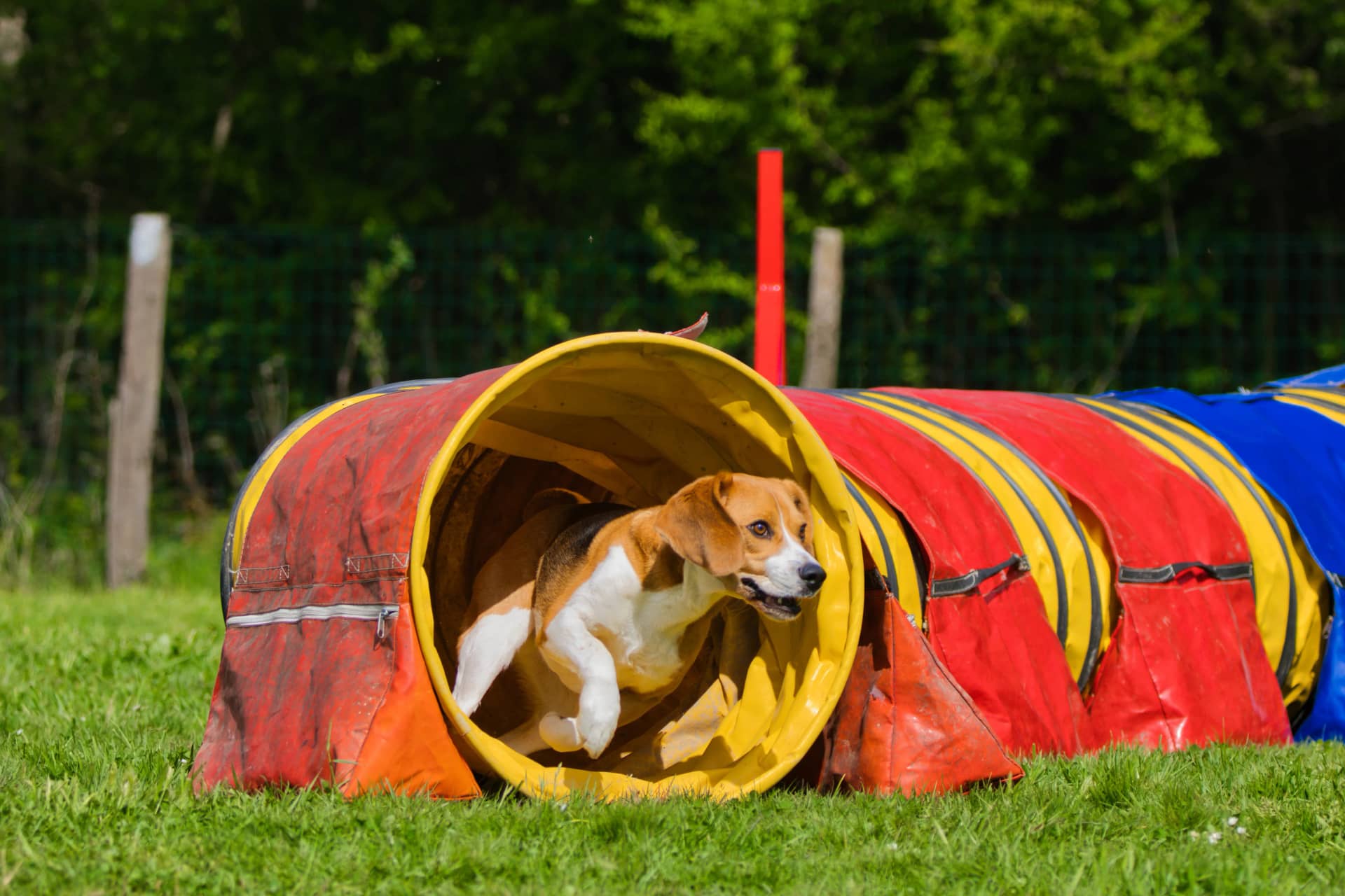 209A3817 resultat owgavu