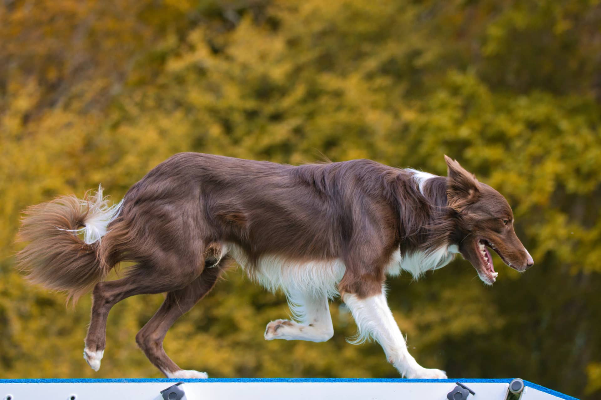 209A4666 resultat nqyzks