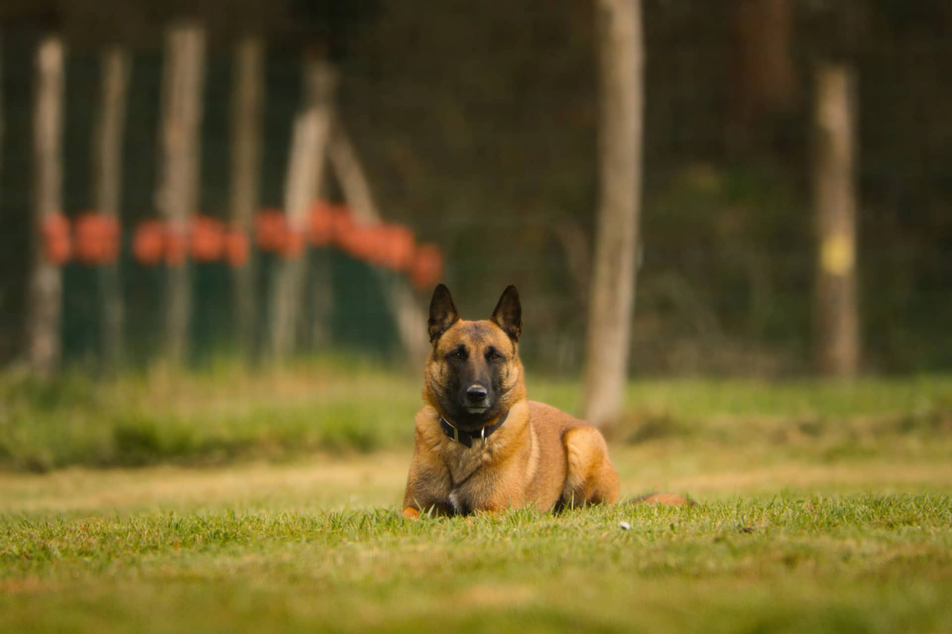 209A4999 resultat iutty8