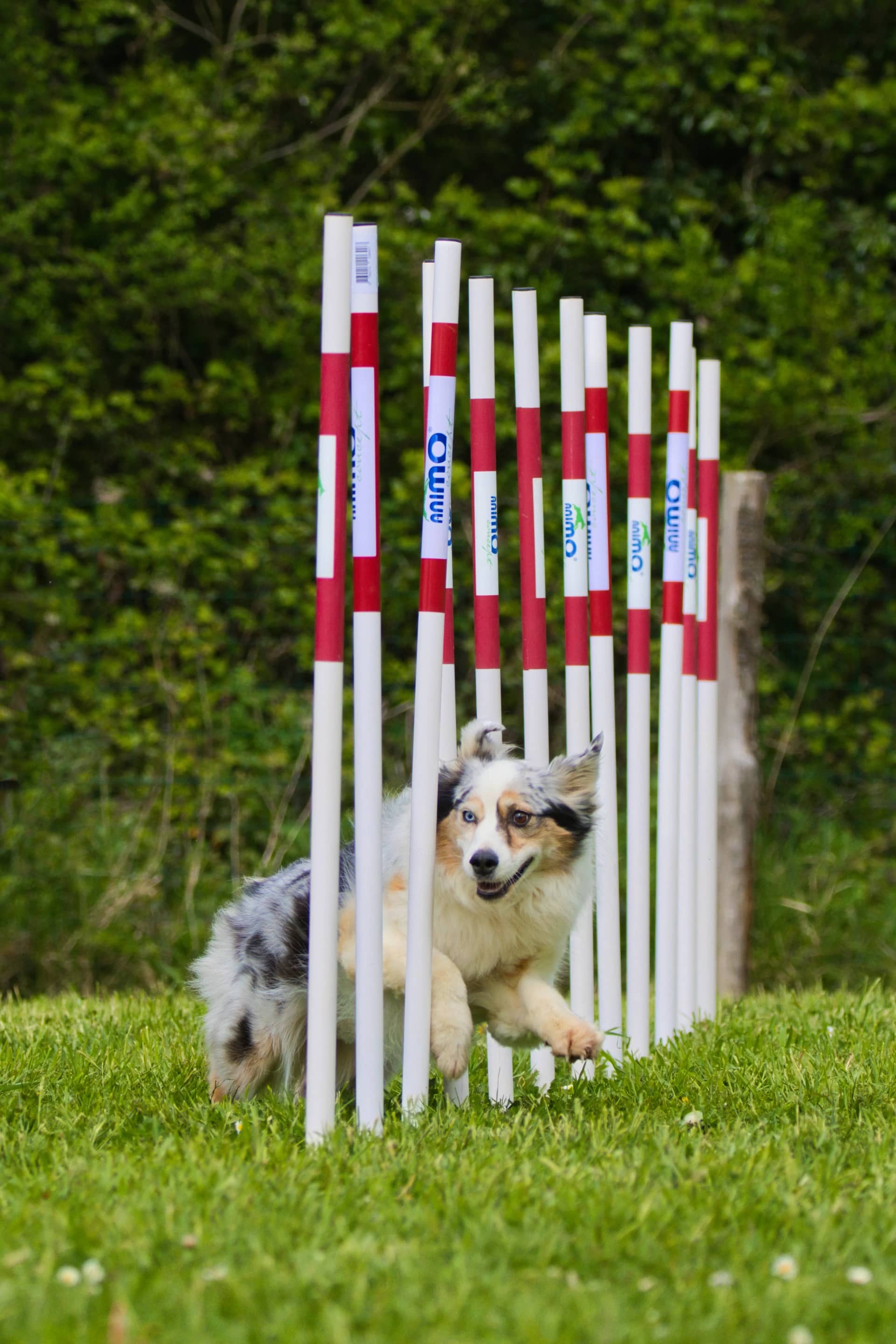 209A6405 resultat laxlue