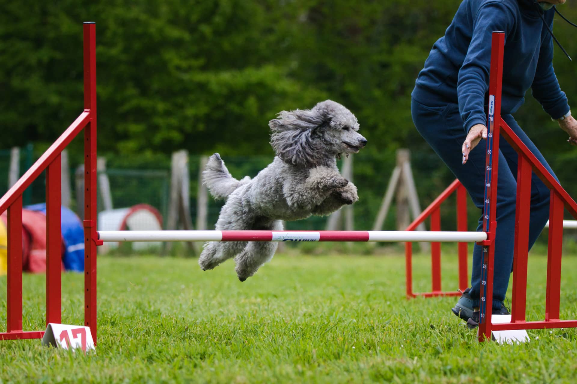 209A9459 resultat g6w3do