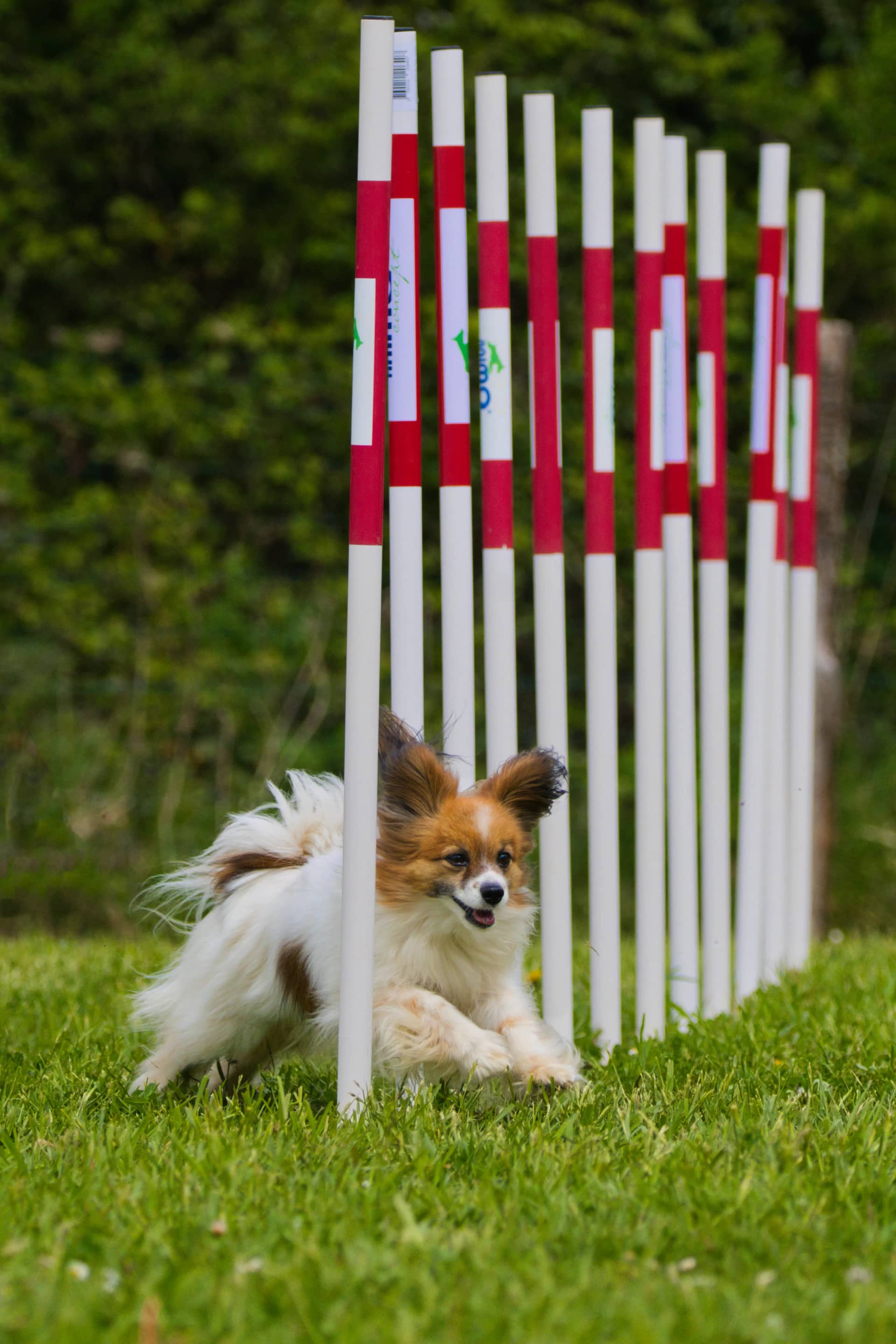 209A5186 resultat wap5fd