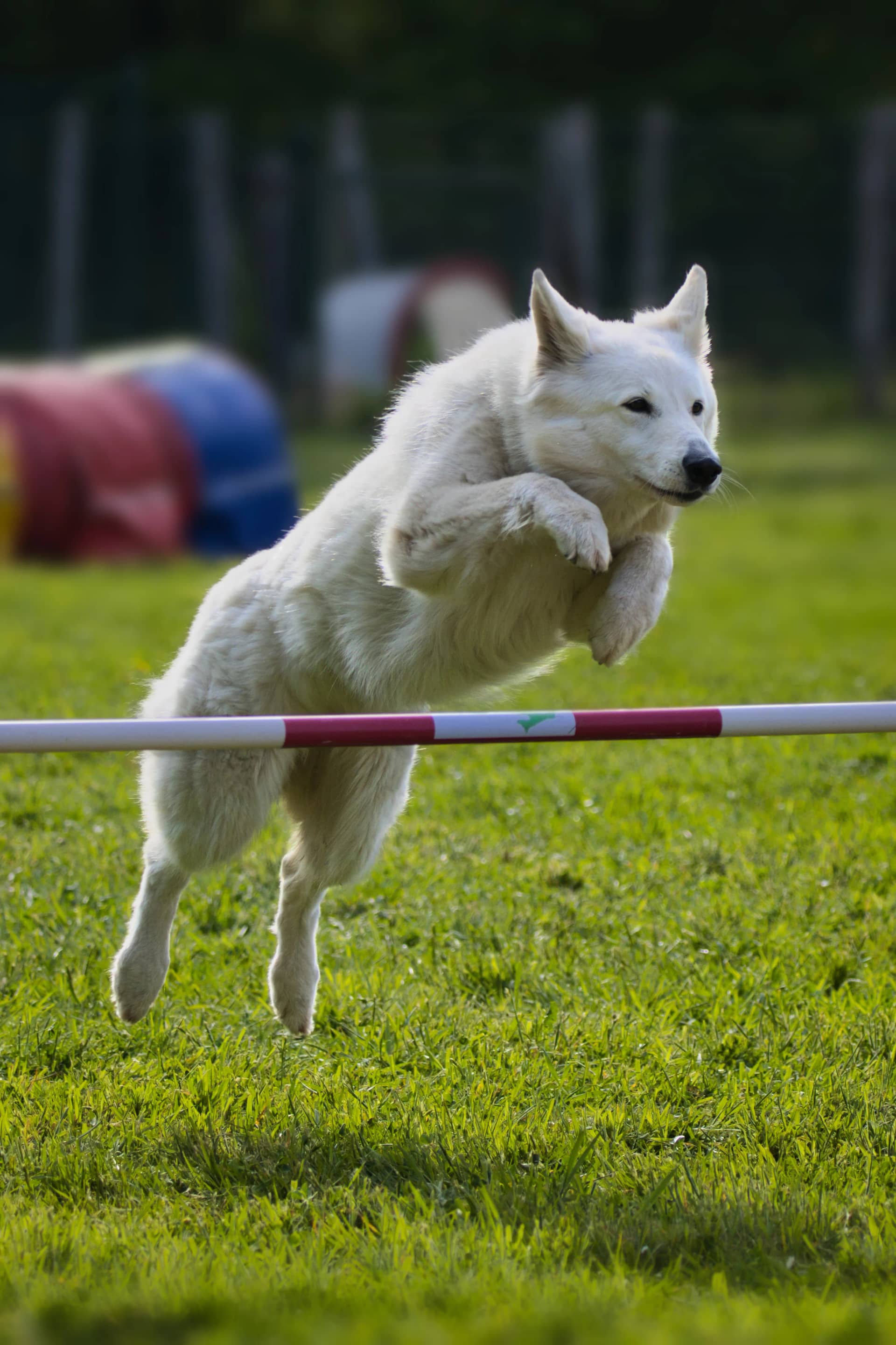 209A2296 resultat vgftzf