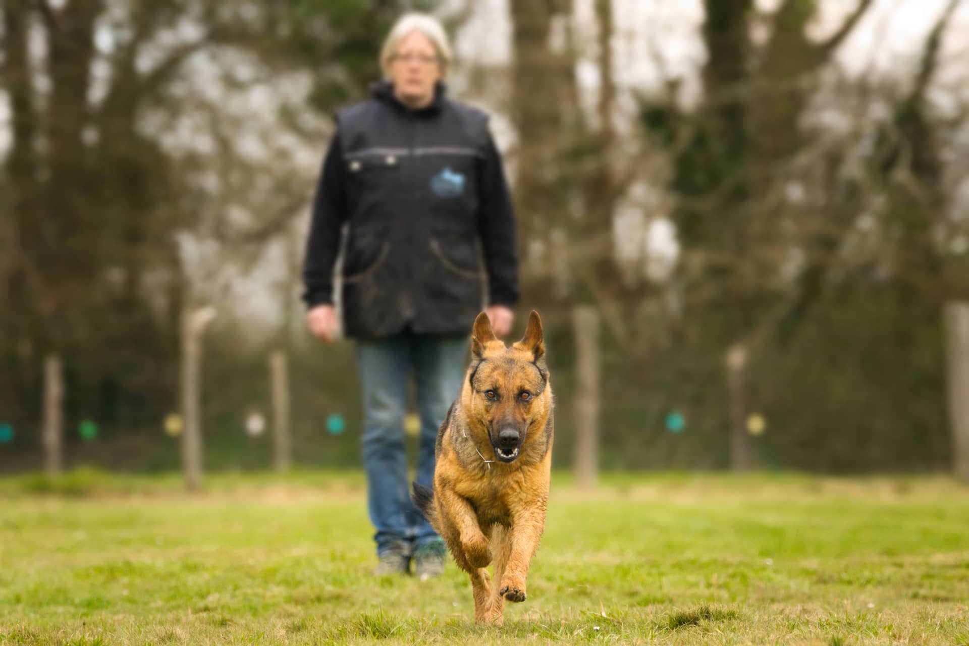 209A5290 resultat dvojas