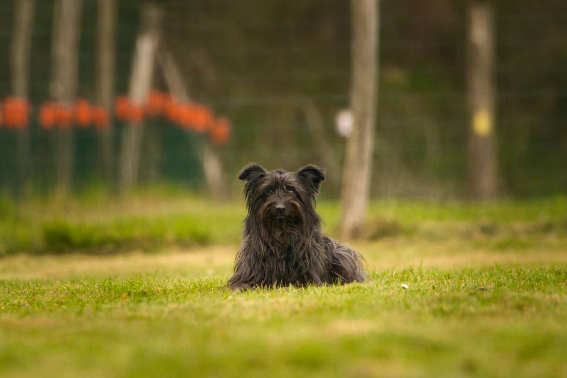 209A4703 resultat u82tdy