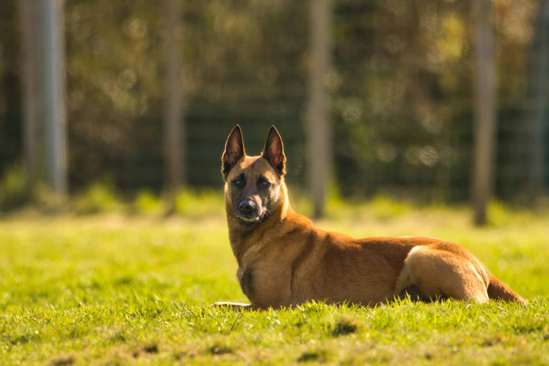 209A2705 resultat fm5ffd