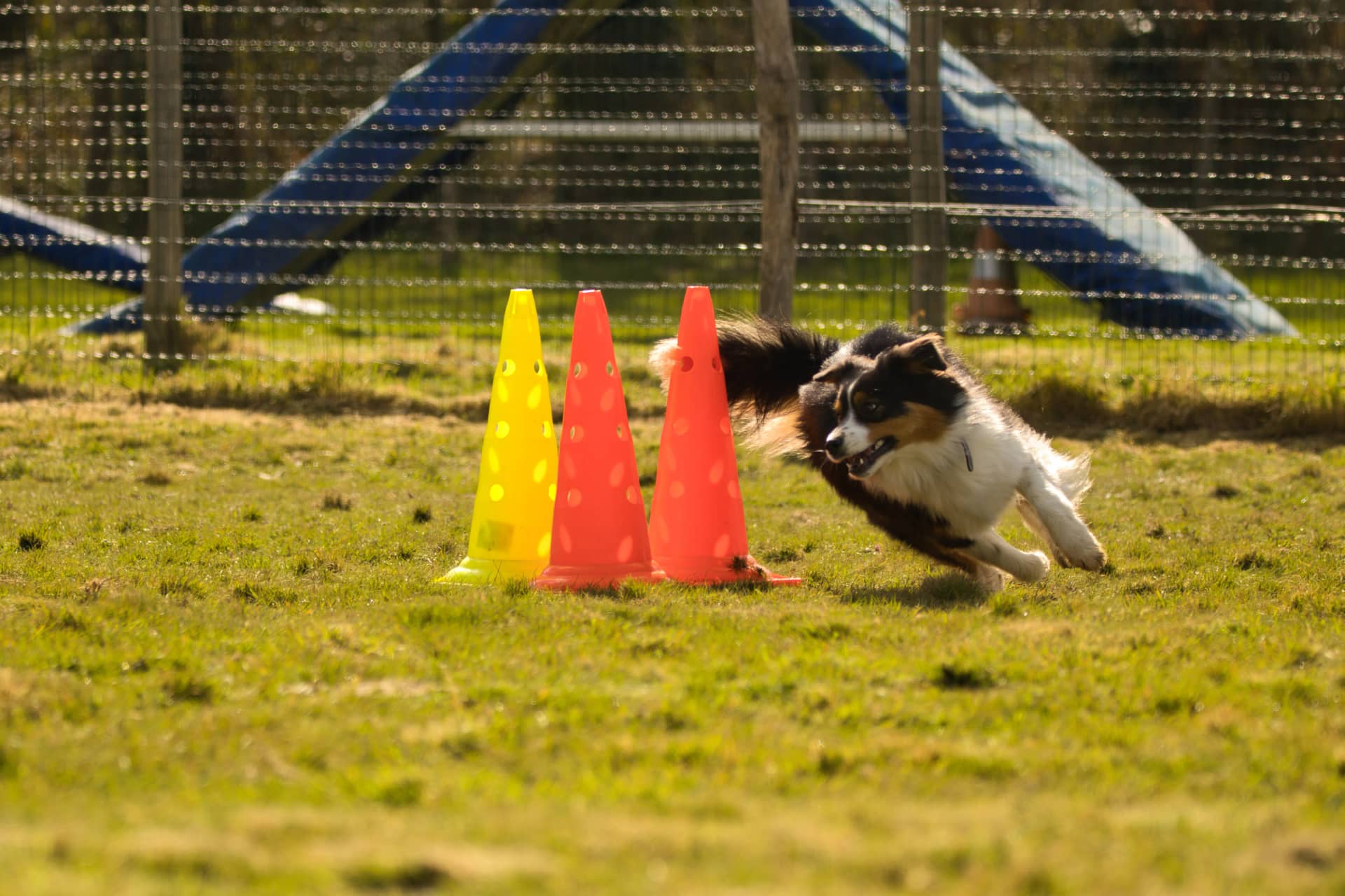 209A3391 resultat t3mevw