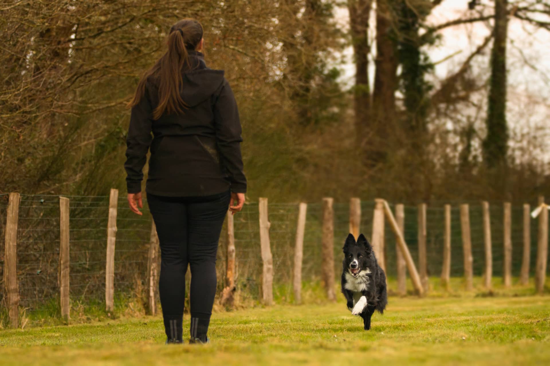 209A6333 resultat tjyy3w