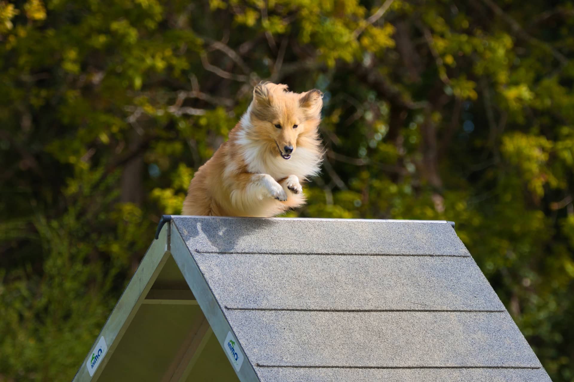 209A3127 resultat wm0jbs