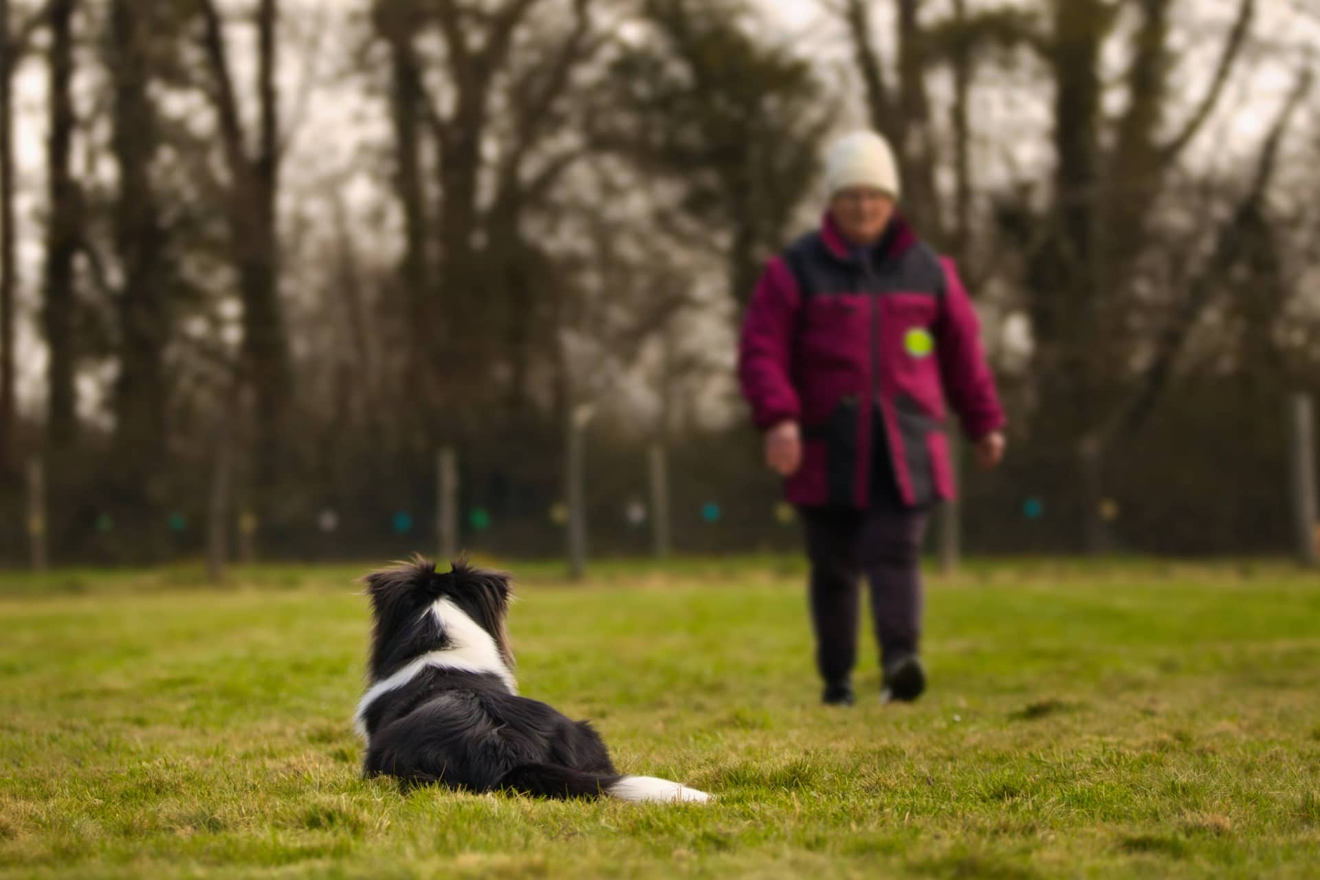 209A3330 resultat me64rd