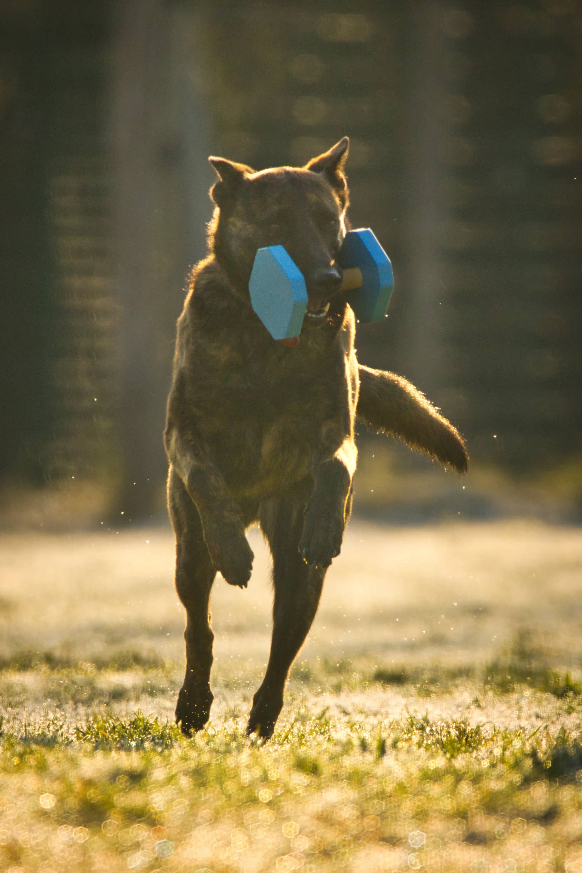 209A1374 resultat zwfjgj