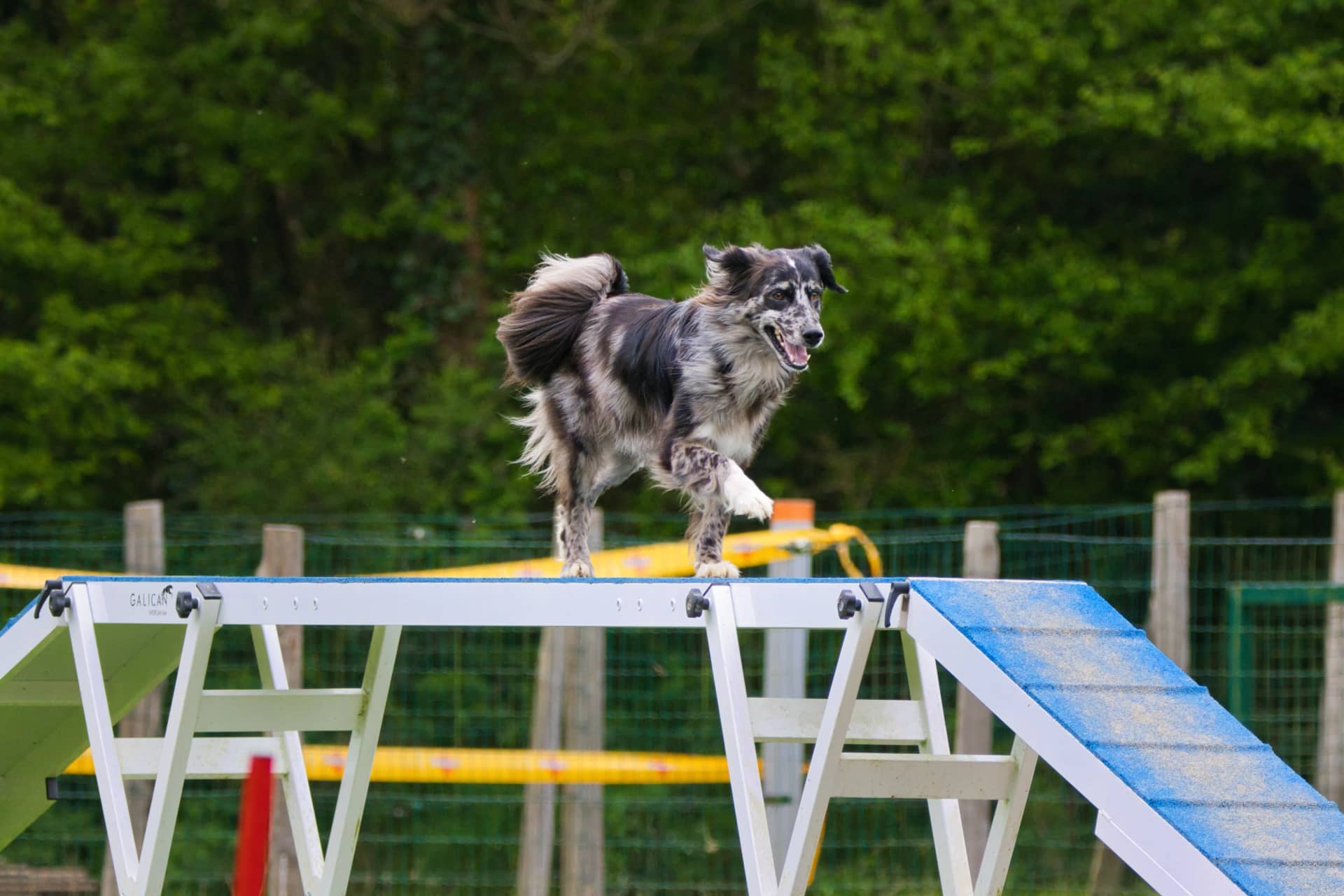 209A9831 resultat hwzdun