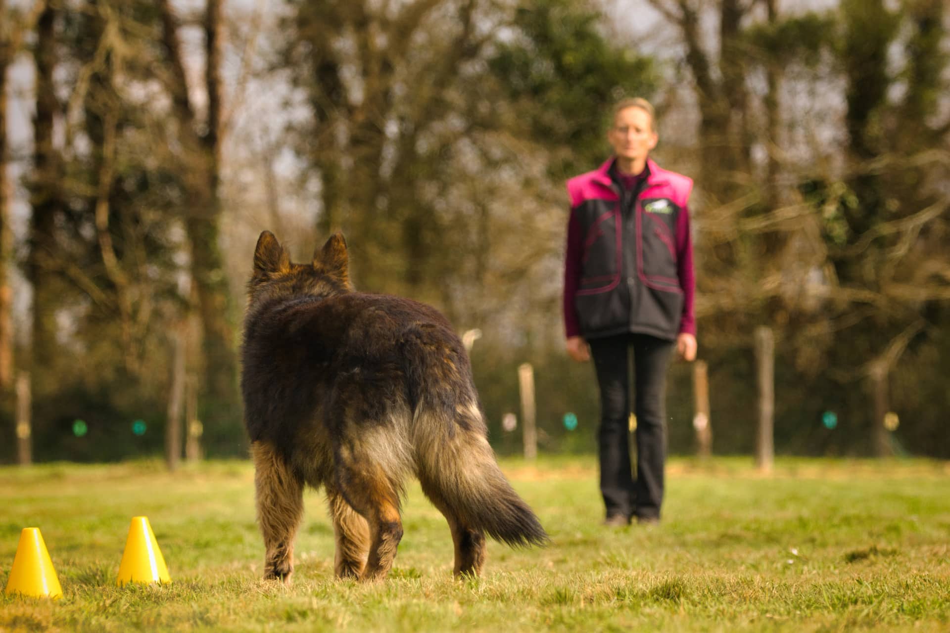 209A5791 resultat hzagbn