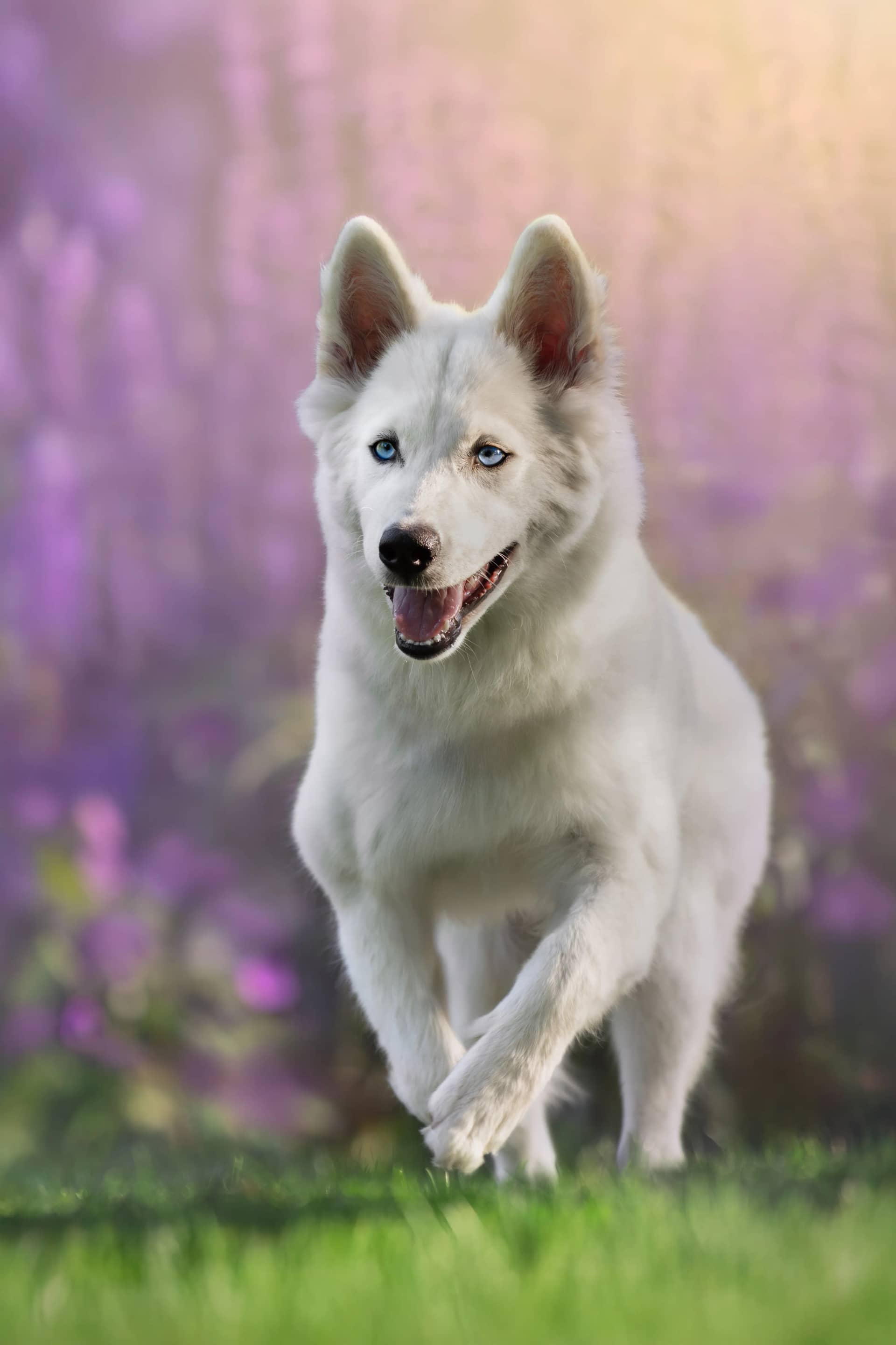 209A7971 webp fi5t2n