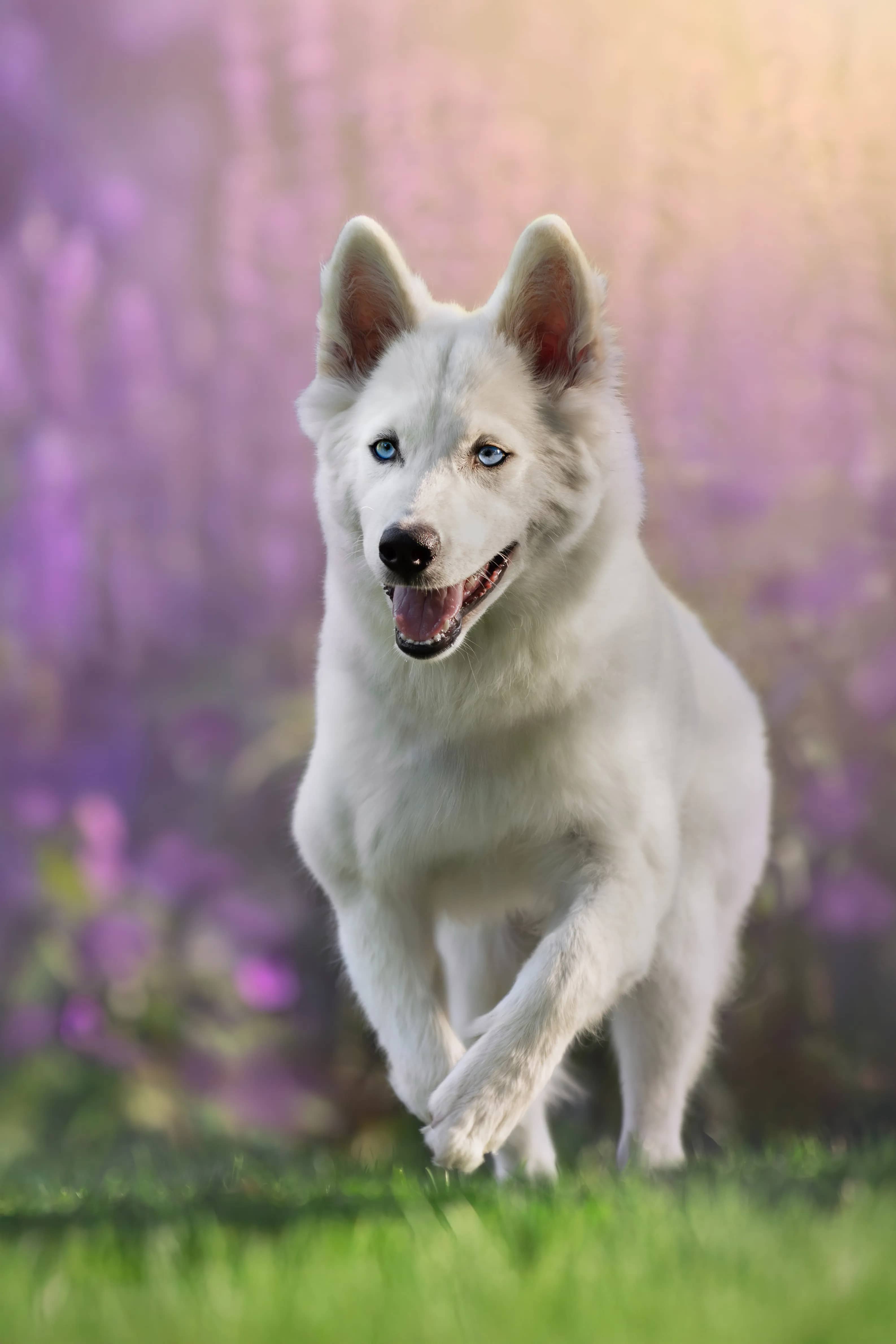 209A7971 webp fi5t2n