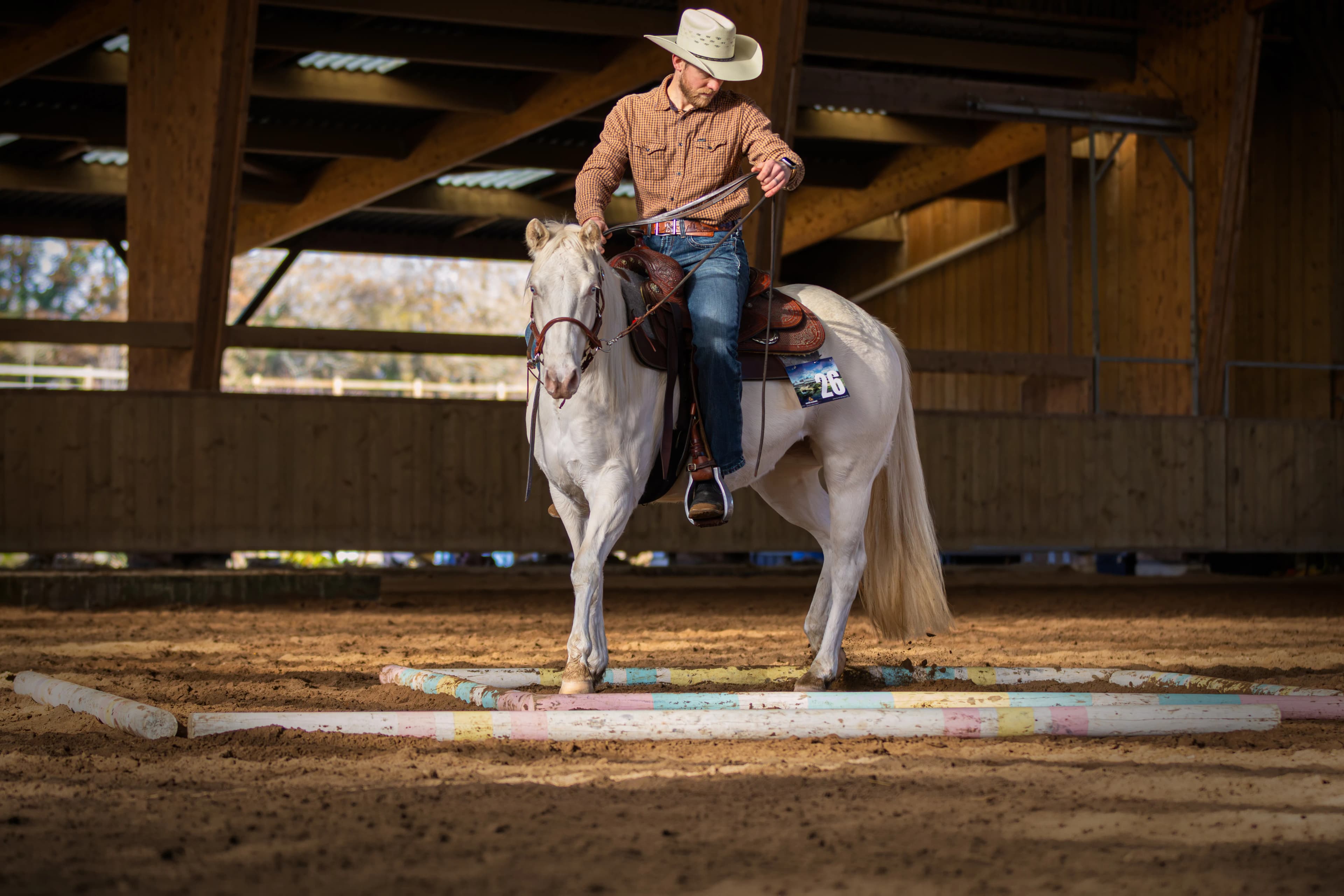 Photographie sportive animalière